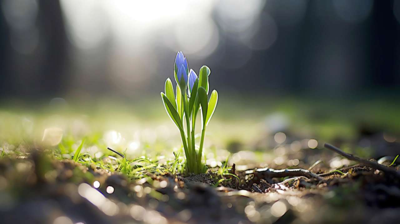 Гороскоп на 31 травня 2025 року