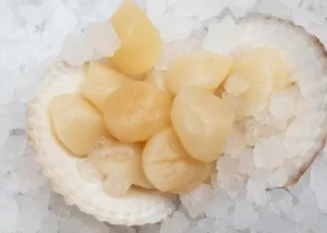 Морський гребінець