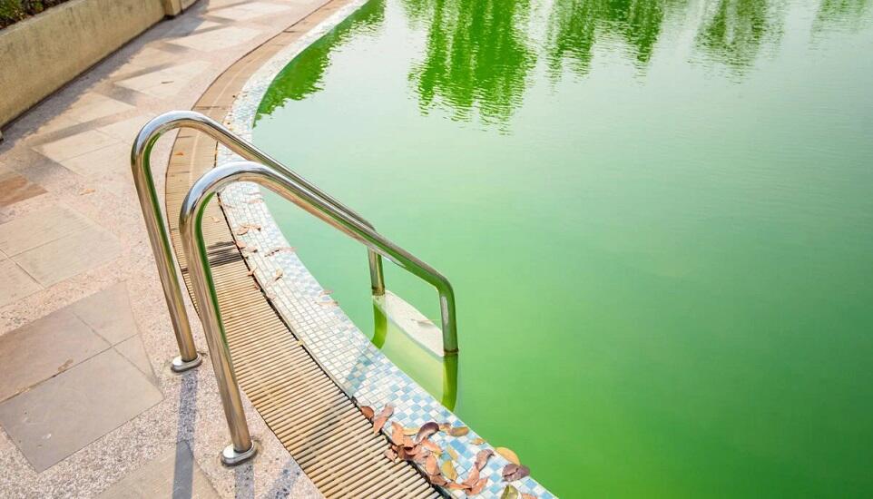 Чистий басейн без водоростей