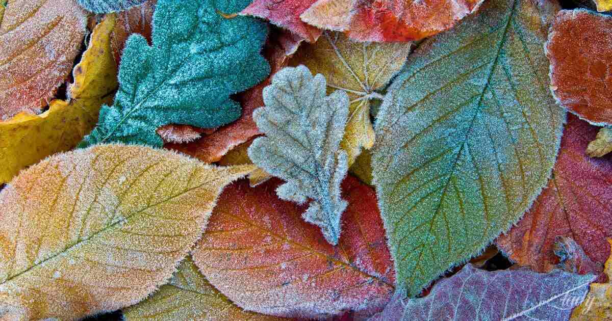 Гороскоп на 1 жовтня 2025 року