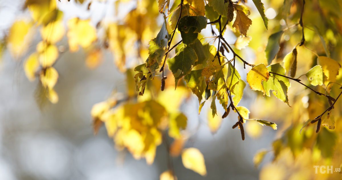 Гороскоп на 30 вересня 2025