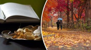 Гороскоп на 25 жовтня 2025 року