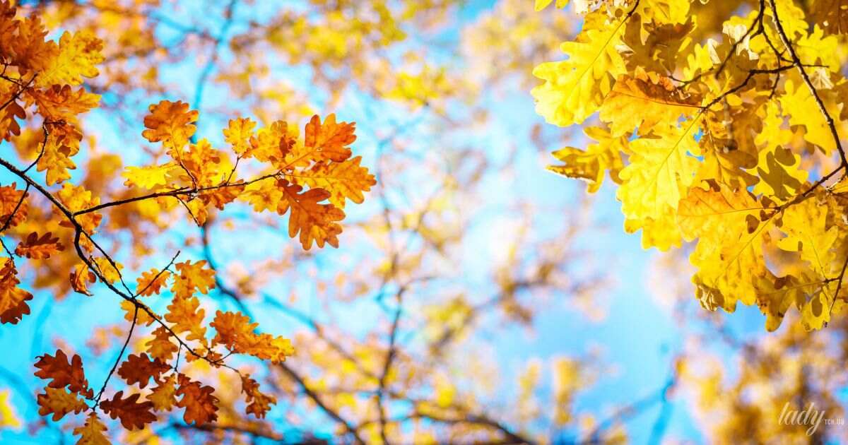 Гороскоп на 30 жовтня 2025 року