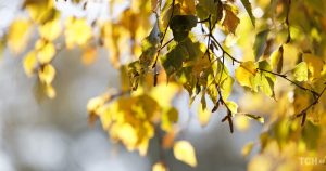 Гороскоп на 25 жовтня 2025 року