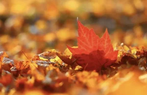 Гороскоп на 30 жовтня 2025 року