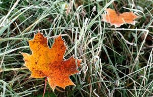 Гороскоп на 26 листопада 2025 року 