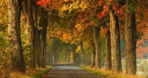 Гороскоп на 6 листопада 2025 року