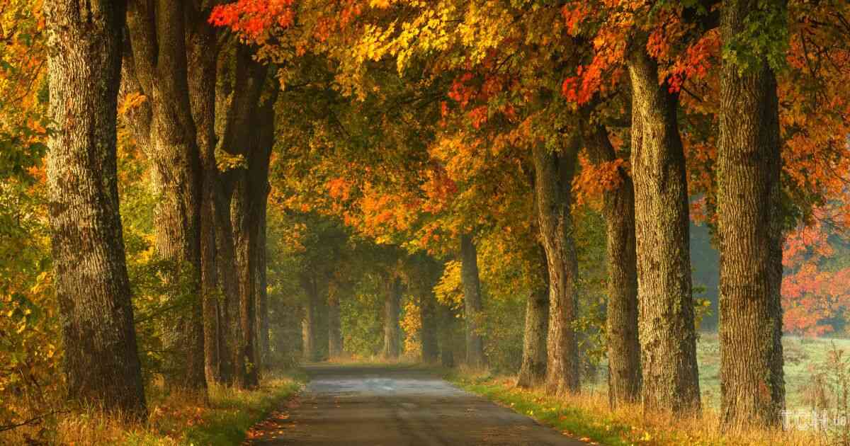 Гороскоп на 6 листопада 2025 року