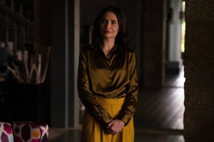 Серіал Єдина (Плюрибус)