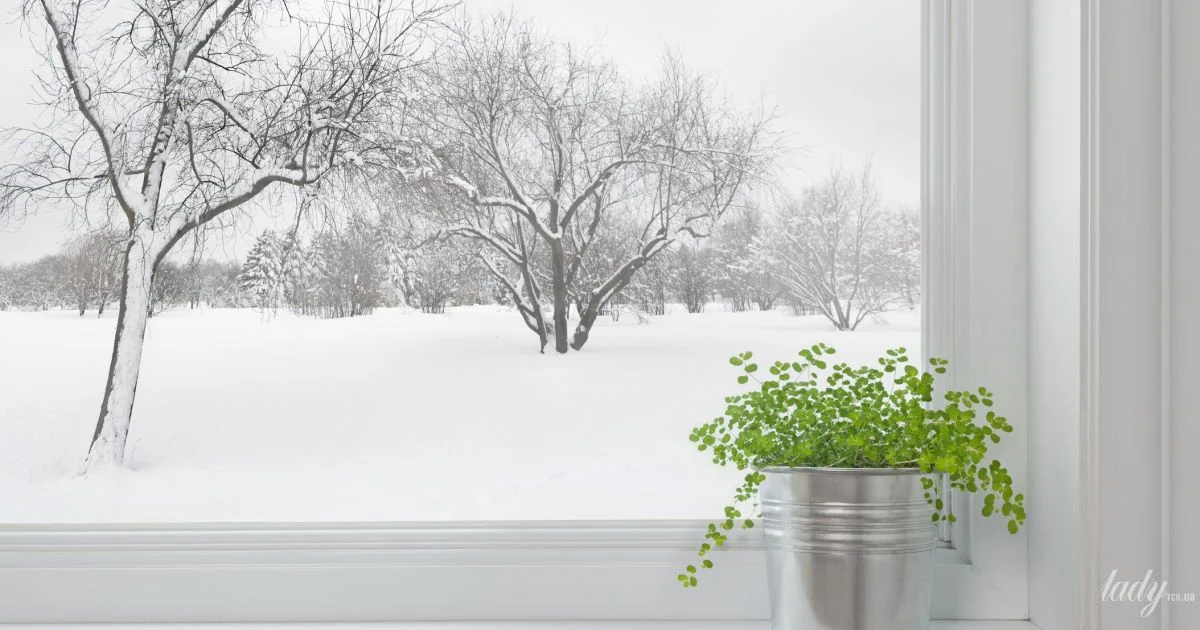 Гороскоп на 21 січня 2026 року