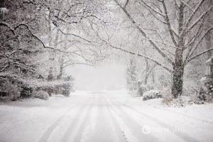 Гороскоп на 22 січня 2026 року