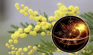 Гороскоп на 11 березня 2026 року 