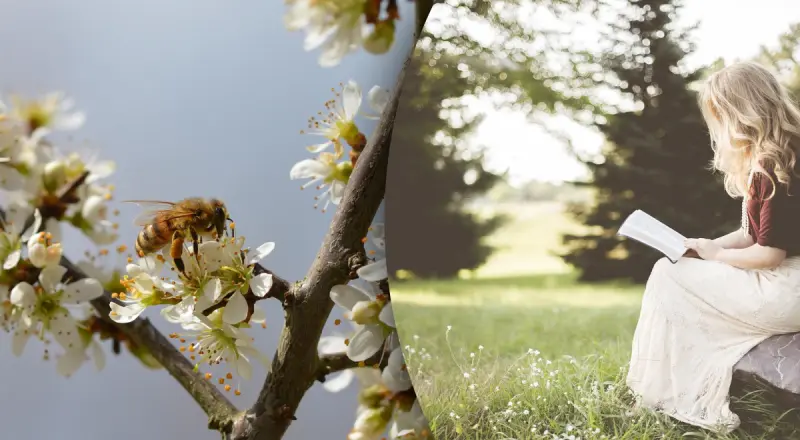 Гороскоп на 1 квітня 2026 року 