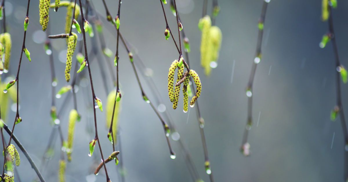 Гороскоп на 5 березня 2026 року