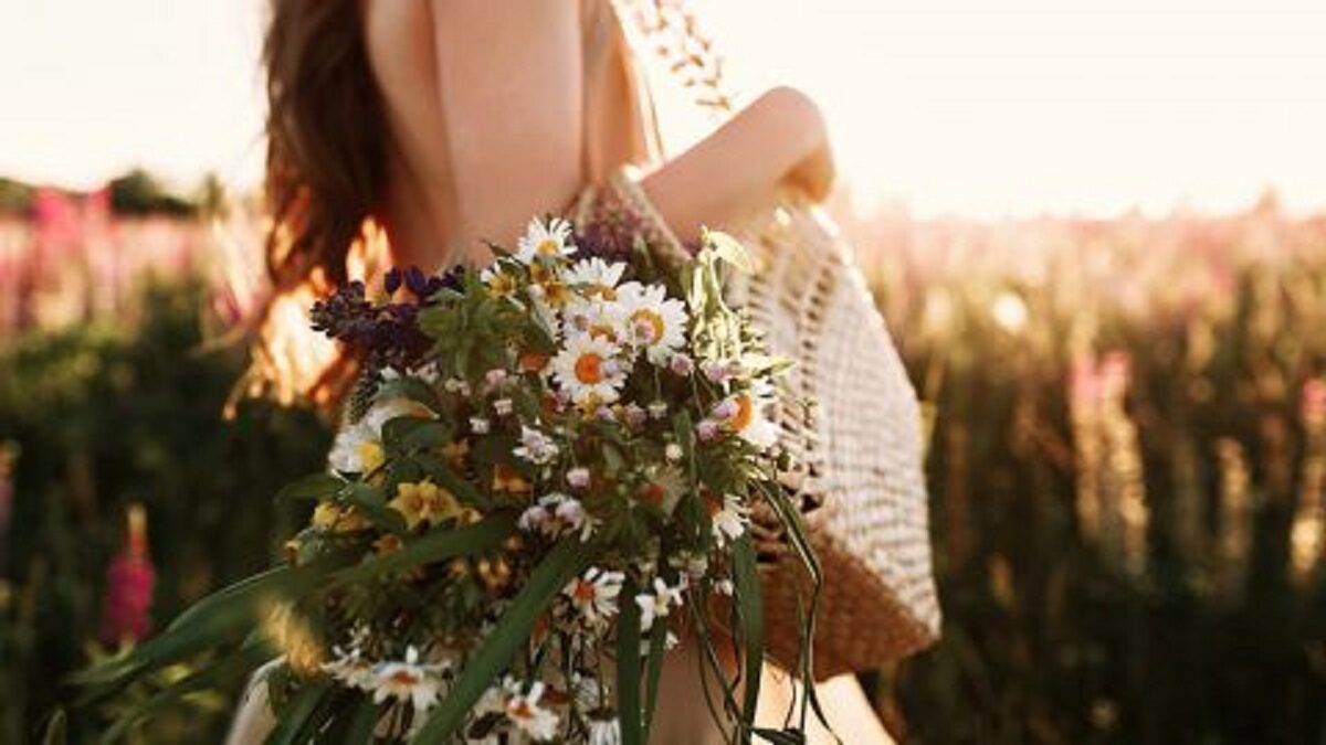 kviti freepik com 480x270 1