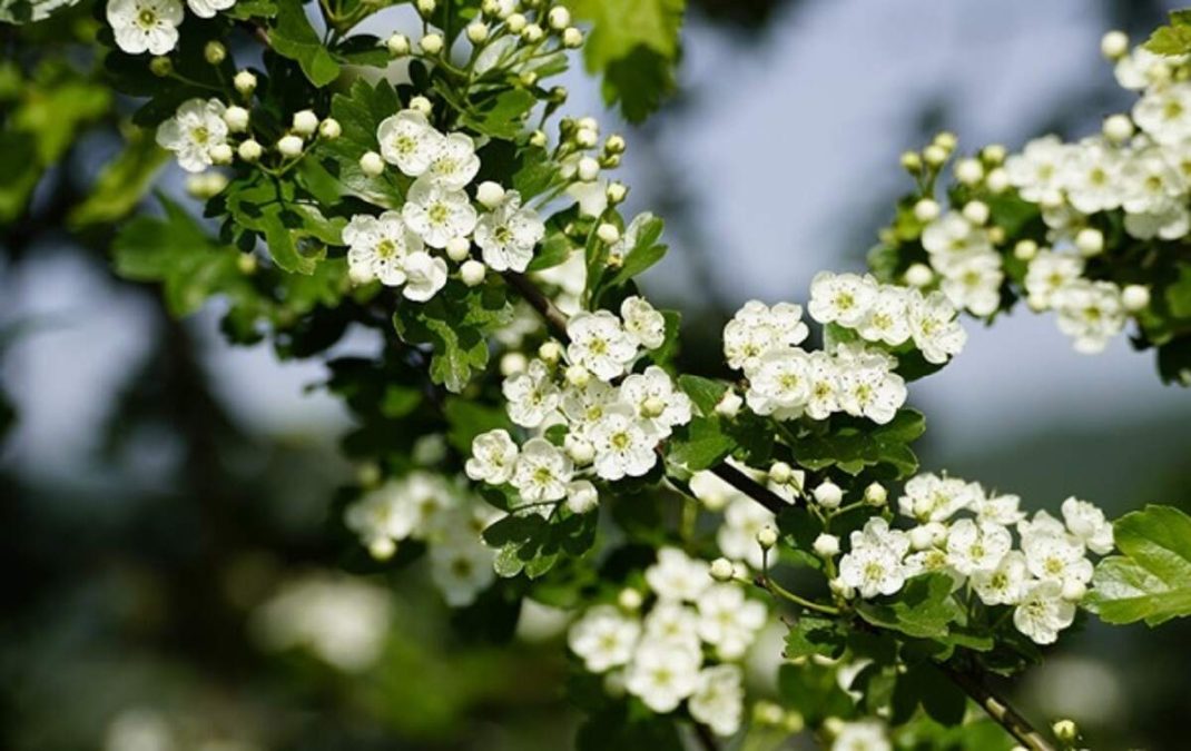 Гороскоп на 30 квітня 2026 року